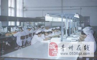 青州电子厂招聘女电子操作工