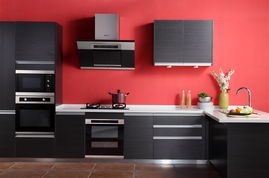 德意变频新天弧 打造更低pm2.5健康厨房