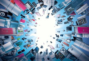 买水果平台 买电器 半返网